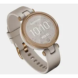 Захисна плівка DK Composite Film box для Garmin Lily (gold) - мініатюра 3