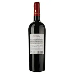 Вино Rivera Rupicolo, червоне, сухе, 0.75 л - мініатюра 2