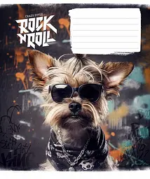 Зошит загальний Школярик Star Rock star у клітинку 24 аркушів 25 шт. (024-3277K) - мініатюра 2