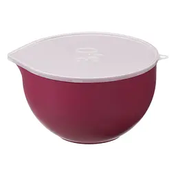 Миска для міксера Plast Team з кришкою 3 л (2514) - мініатюра 3