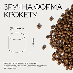 Сухий корм Savory зі свіжим лососем та морською рибою для кошенят всіх порід 400 г - мініатюра 3