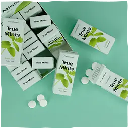 Конфеты True Mints свежая мята 13 г - мініатюра 3
