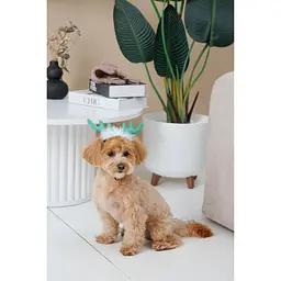 Аксесуар для собак Pet Fashion Deer XS-S - мініатюра 4