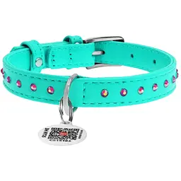 Нашийник для собак Waudog Glamour, шкіряний, зі стразами, з QR паспортом, S, 21-29х1,2 см, ментоловий