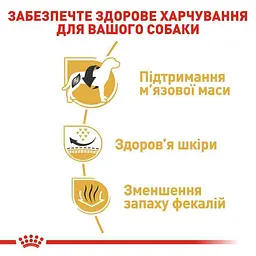 Сухий корм для дорослих собак породи Французький Бульдог Royal Canin French Bulldog Adult, 9 кг (3991090) - мініатюра 5