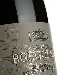 Вино ігристе Puianello Contrada Borgoleto Lambrusco Reggiano DOC червоне напівсолодке 0.75 л - мініатюра 3