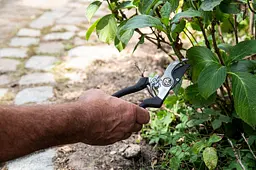 Набір садових інструментів Black+Decker 4 предмети - мініатюра 8