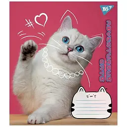 Зошит учнівський Yes 766539 Різнокольоровий (4823092278173)(SC)