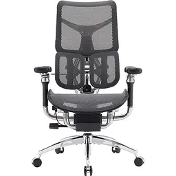 Крісло офісне Sihoo Doro S300 Mesh Dark Grey (S300-M201)