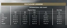 Трусики-стрінги Penthouse Classified White подвійні резиночки непрозора вставка та бантик M/L - мініатюра 4