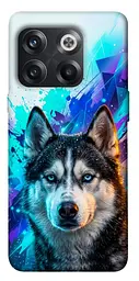 TPU чохол Demsky Husky magic для OnePlus 10T