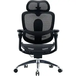 Офісне крісло Sihoo C300 PRO V2, Black (C300-PRO-V2-B101) - мініатюра 2