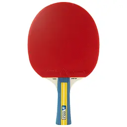 Набір для настільного тенісу Joola Team Master Pro 2 Bats 3 Balls (52001-1) - мініатюра 2