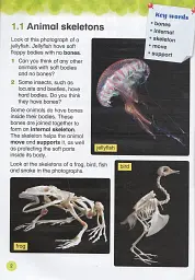 Collins International Primary Science 4 Student's Book - мініатюра 3