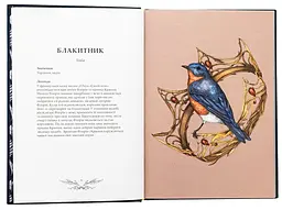Орнітографія: Ілюстрований довідник із пташиної символіки та легенд — Джессіка Ру | ArtHuss, книга українською, нова, тверда - мініатюра 4