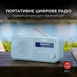 Радіоприймач Sharp DR-P420 Blue - мініатюра 3