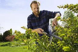 Ніжниці для живої ізгороди механічні Gardena NatureCut (12300-20) - мініатюра 3