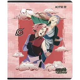 Набір зошитів Kite Naruto А5 в лінійку 24 аркуші 20 шт. (NR23-239) - мініатюра 4