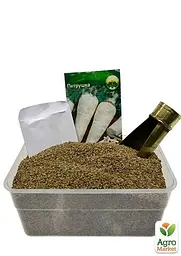 Насіння Agro-Market Петрушка коренева на вагу ціна за 5 г (13349) - мініатюра 3
