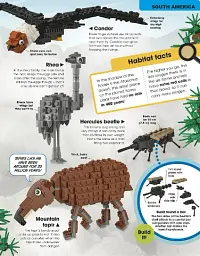 LEGO Animal Atlas - мініатюра 4