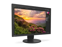 Монітор Eizo ColorEdge (CS2400S) - мініатюра 2