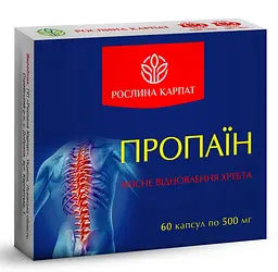 Програма для відновлення суглобів та хребта, Пропаїн, Кальцимін, Хондротин - pro, Колагенум - beauty, Рослина Карпат - мініатюра 2