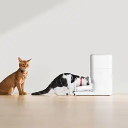 Смарт годівниця CATLINK Automatic Feeder Fresh 2 - Standard White - мініатюра 4