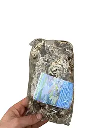 Ісландський мох, карпатський чай, фіточай - мініатюра 2