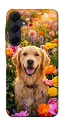 TPU чохол Demsky Flowery labrador для Samsung Galaxy A35