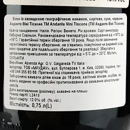 Вино Vini Tiscone Andante Cabernet Sauvignon Trevenezie, червоне, сухе, 0,75 л - мініатюра 3