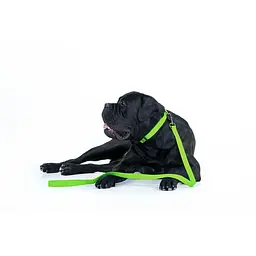 Повідець для собак водостійкий Waudog Waterproof L-XXL Ш 25 мм Д 122 см салатовий - мініатюра 6