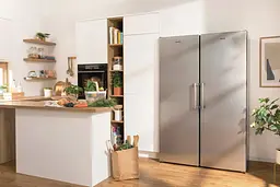 Холодильник Gorenje (R619FES5) - мініатюра 11