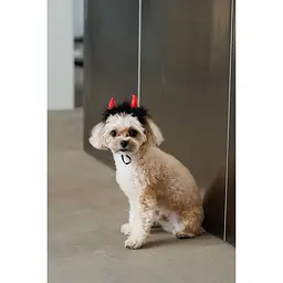 Аксесуар для собак Pet Fashion Imp XS-S червоний  - мініатюра 4