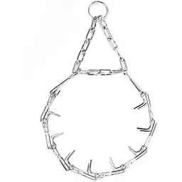Нашийник для собак Collar суворий дротяний