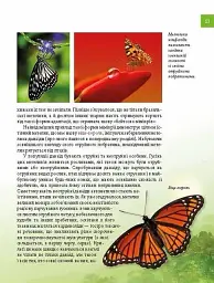 Тварини - майстри маскування. Енциклопедія для допитливих - Андрій Гапченко - мініатюра 7