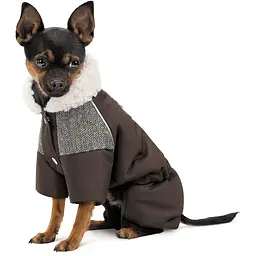 Костюм для собак Pet Fashion Locky М2 коричневий - мініатюра 3