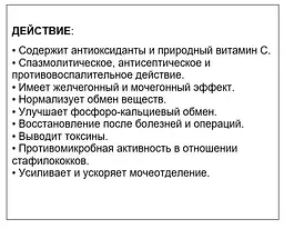 Ренавіт для собак Home Food, 500 мл - мініатюра 4