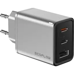 Мережевий зарядний пристрій EcoFlow Rapid Charger 65W + Cable Type-C to Type-C (EFA-65W-GAN-CHARGER-EU) [122273] - мініатюра 2