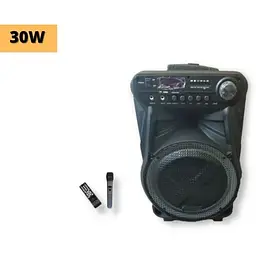 Портативна колонка XPRO ZX-7771 валіза 30Вт USB SD FM радіо Bluetooth 1 мікрофон ДК (ZX-7771) - мініатюра 2