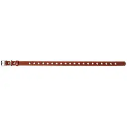 Нашийник для собак Collar, шкіряний, безрозмірний, 60х2,5 см, коричневий - мініатюра 3