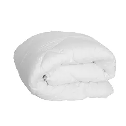 Ковдра FRIENDLY WHITE HOME COMFORT, 200x220 см (1-02805_00000)