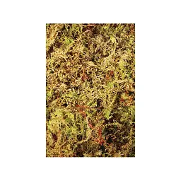 Живий мох Komodo Habitat Moss 1,5 л для тераріуму, амфібій та рептилій (83003) - мініатюра 3