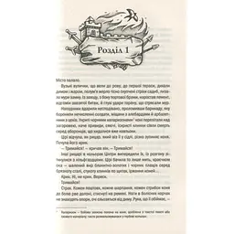 Книга Відьмак. Кров ельфів. Книга 3 - Анджей Сапковський КСД (9786171283503) - мініатюра 4