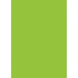 Папір для дизайну Folia Tintedpaper А4 (21x29.7см) №50 салатовий 130г/м2 без текстури