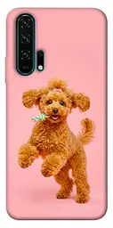 TPU чохол Demsky Happy poodle для Huawei Honor 20 Pro