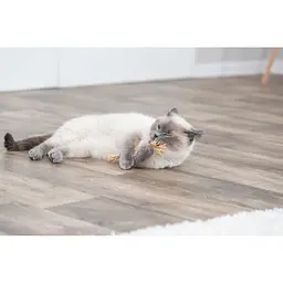 Іграшка для котів Trixie паличка з мататабі з кисточками 24 см - мініатюра 8