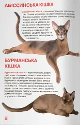Велика книжка. Кішки - Олег Зав'язкин - мініатюра 3