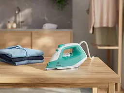 Праска Electrolux 2200Вт 250мл, паровий удар 90гр, нерж. сталь, зелено-білий teh0016186 - мініатюра 7