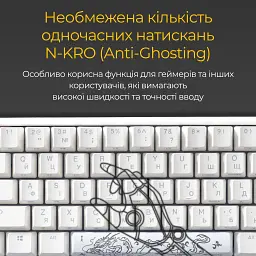 Клавіатура Ducky One 3 Mini Cherry MX Red RGB White (DKON2161ST-RUAPXPWWWSC1) UA [125719] - мініатюра 10