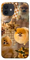 TPU чохол Demsky Spitz aethtetic для Apple iPhone 12 Pro (6.1")